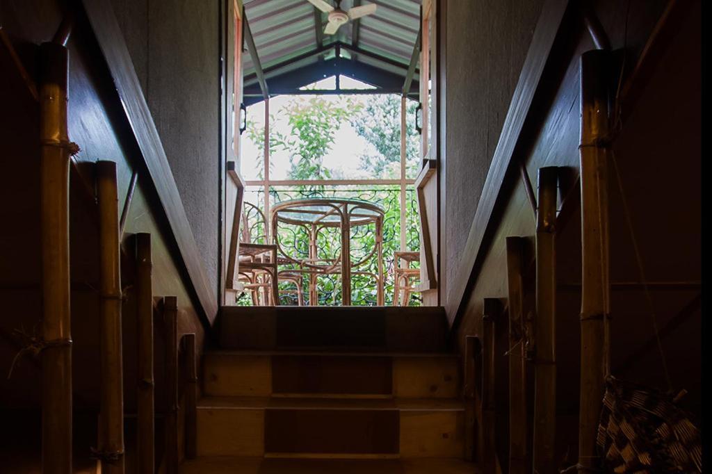 The Divine Hima Hotel Dharamshala Exterior foto