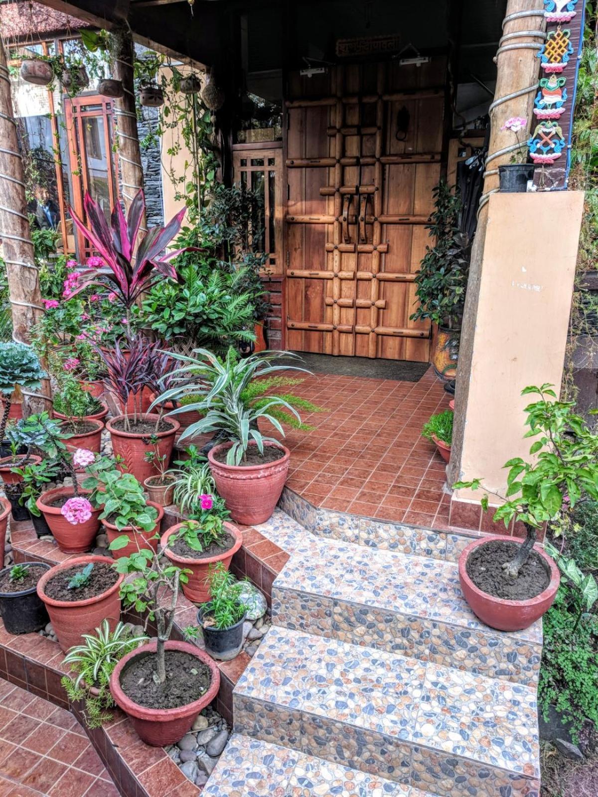 The Divine Hima Hotel Dharamshala Exterior foto